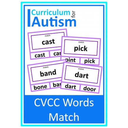 CVCC Words Match Large Print Clip Cards
